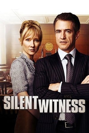 Silent Witness - Vj Junior