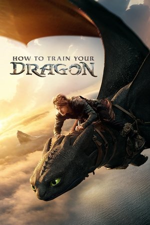 How to Train Your Dragon - Vj Junior