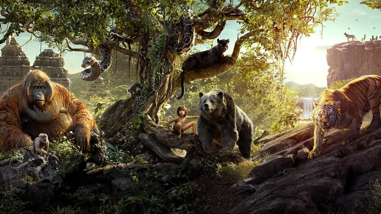 The Jungle Book - Vj Junior