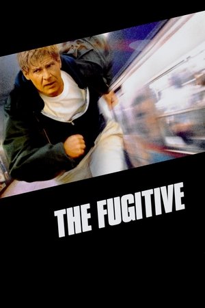 The Fugitive - Vj Mark