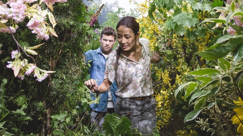 The Shack - Vj Kevin