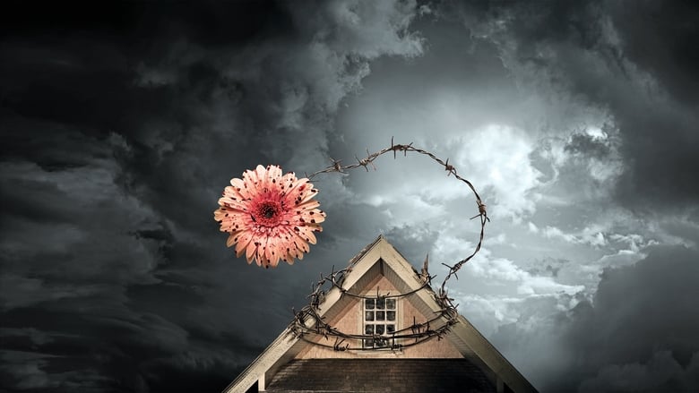 Petals on the Wind - Vj Junior