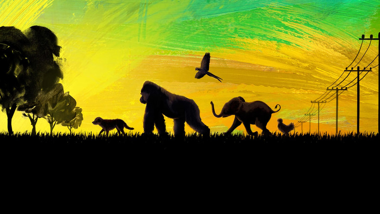 The One and Only Ivan - Vj Kevo