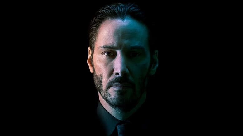 John Wick - Vj Junior