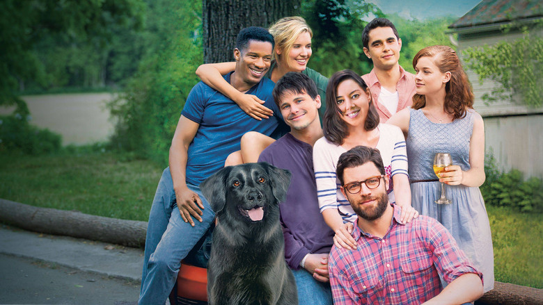 About Alex - Vj Junior