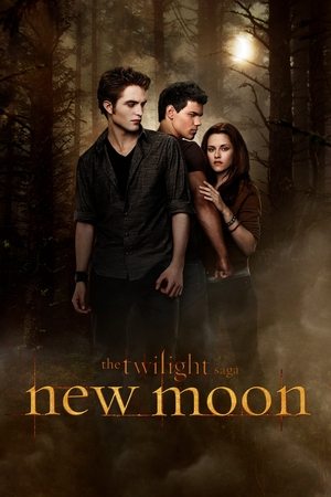 The Twilight Saga: New Moon - Vj Junior