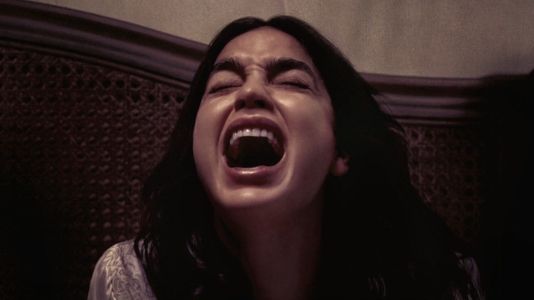 Bed Rest - Vj Junior