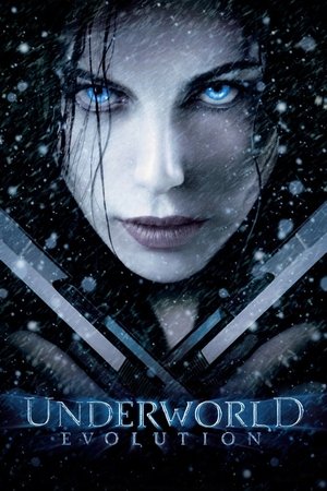 Underworld: Evolution - Vj Junior