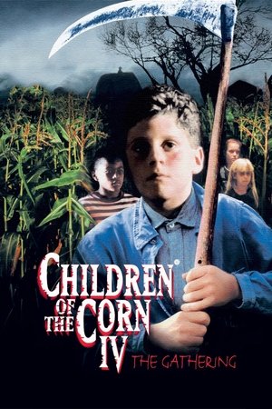 Children of the Corn IV: The Gathering - Vj Emmy
