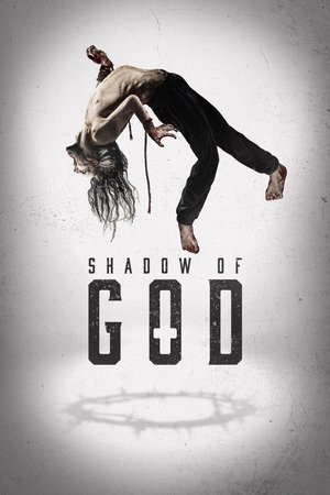 Shadow of God - Vj Ham