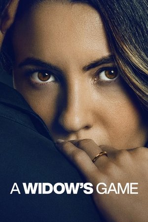A Widow\'s Game - VJ Ulio