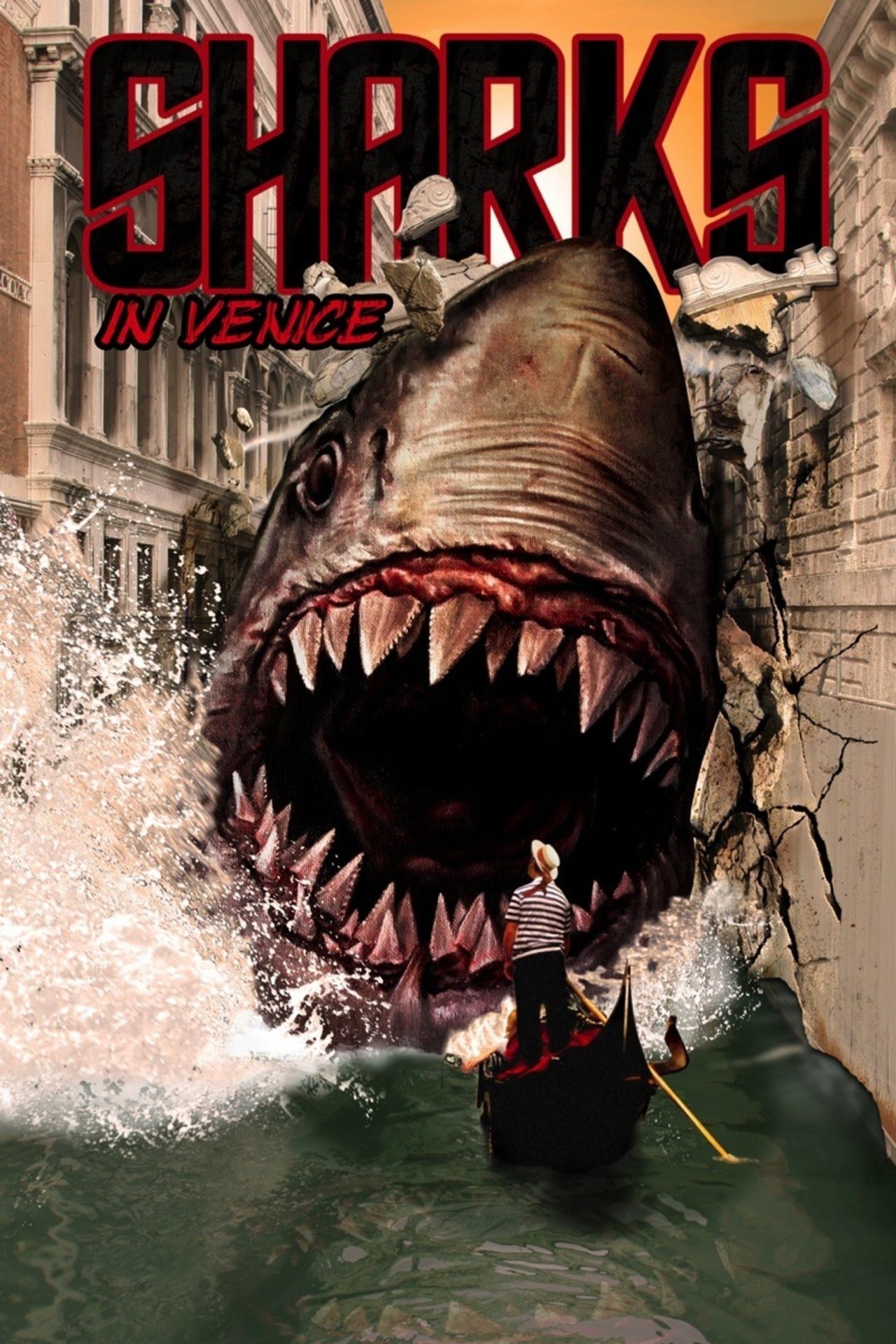 Sharks in Venice By VJ Junior