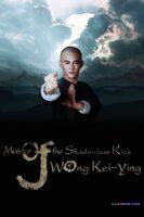 Master Of The Shadowless Kick By VJ Jingo