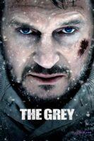 The Grey